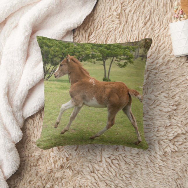 Easter Island aka Rapa Nui Cushion (Blanket)