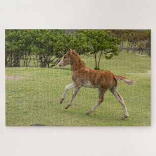 Easter Island aka Rapa Nui Jigsaw Puzzle