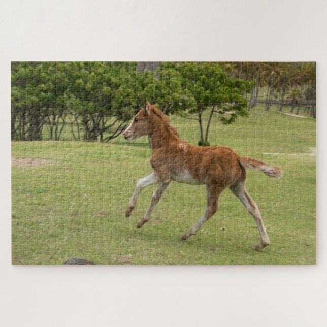 Easter Island aka Rapa Nui Jigsaw Puzzle (Horizontal)