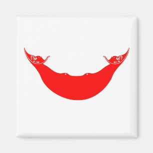 Easter Island Flag Magnet