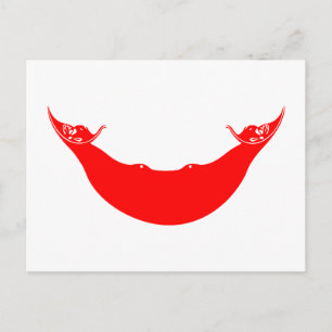 Easter Island Flag Postcard