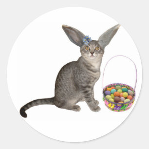 Easter Kitten Stickers
