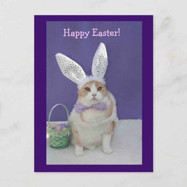 Easter Kitty Holiday Postcard (Front)