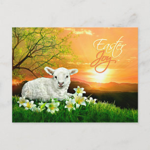Easter Lamb and Sunrise with Easter Lilies Holiday Postcard