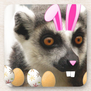 Easter Lemur Coaster