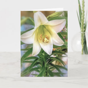 Easter lily card