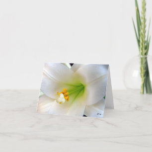 Easter Lily Holiday Card