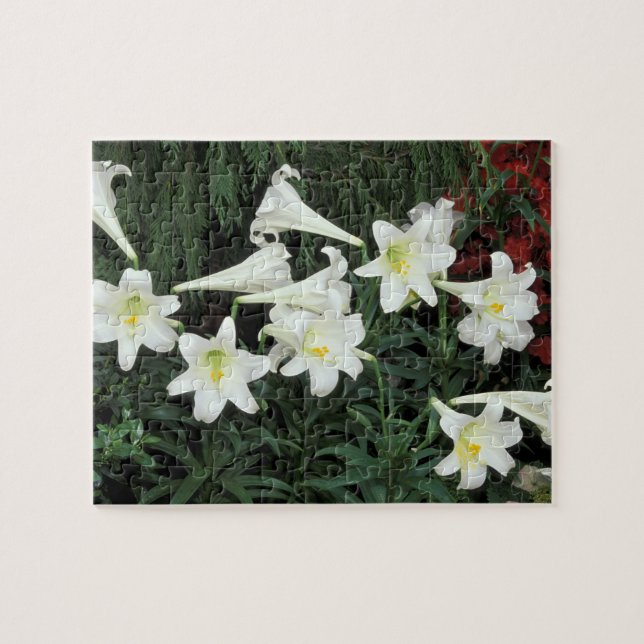 Easter Lily (Lilium regale) Jigsaw Puzzle (Horizontal)