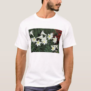 Easter Lily (Lilium regale) T-Shirt