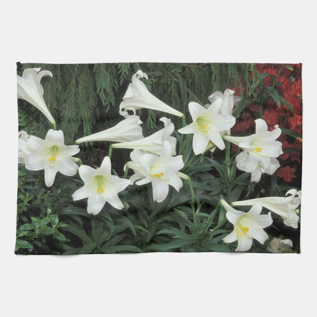 Easter Lily (Lilium regale) Tea Towel (Horizontal)