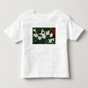 Easter Lily (Lilium regale) Toddler T-Shirt