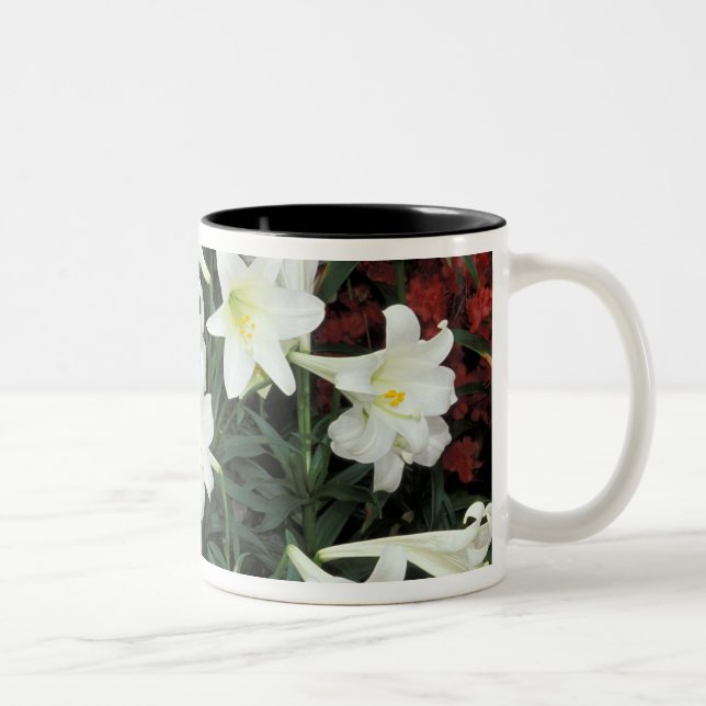 Easter Lily (Lilium regale) Two-Tone Coffee Mug (Right)