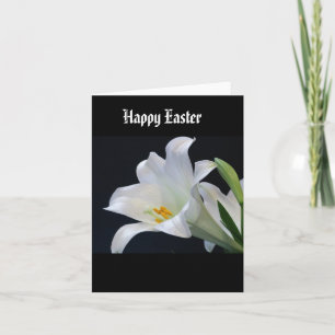 Easter Lily on Black Background Card