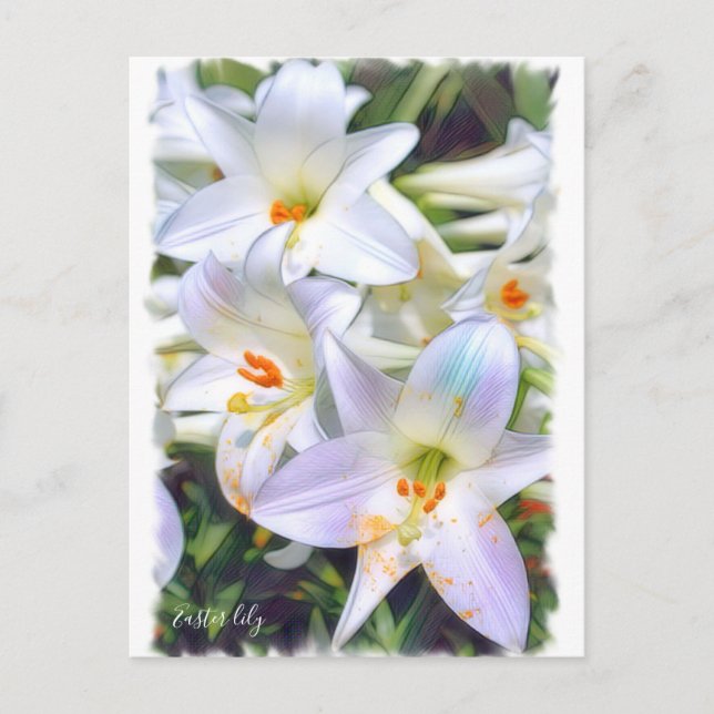Easter lily [Postcard] ポストカード Postcard (Front)
