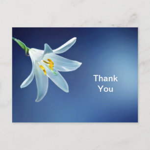 Easter Lily Thank You Postcard