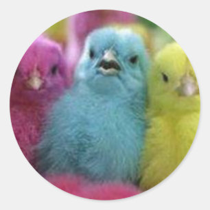 Easter Multi-coloured Chicks Classic Round Sticker