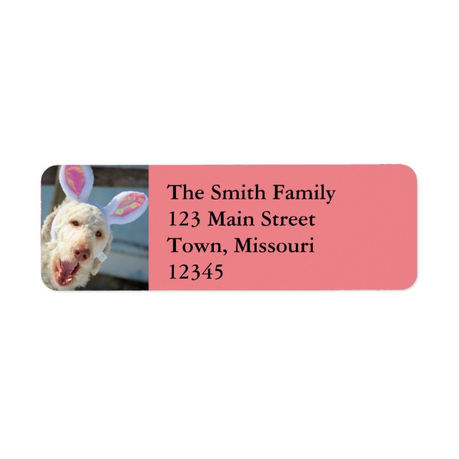 Easter Ollie Return Address Label (Front)