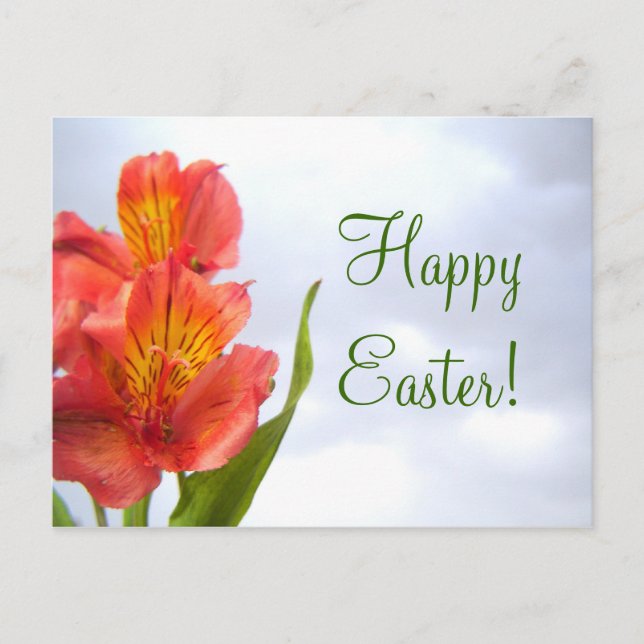 Easter Orange Lily Postcard (Front)