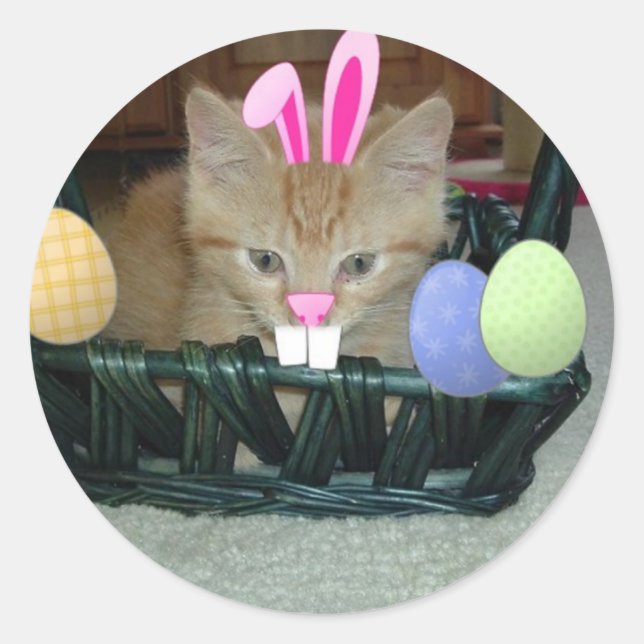 Easter Orange Tabby Kitten Classic Round Sticker (Front)
