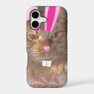 Easter Orange Tabby Kitty Cat