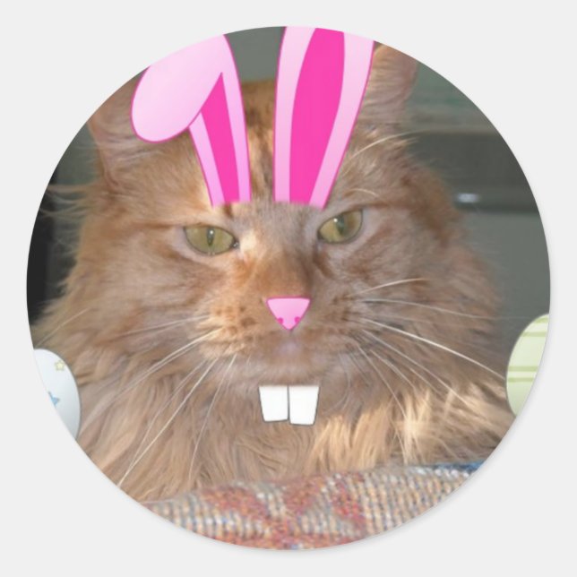 Easter Orange Tabby Kitty Cat Classic Round Sticker (Front)