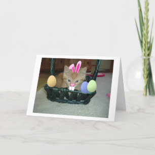 Easter Orange Tabby Kitty Cat Holiday Card