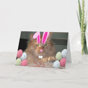 Easter Orange Tabby Kitty Cat Holiday Card