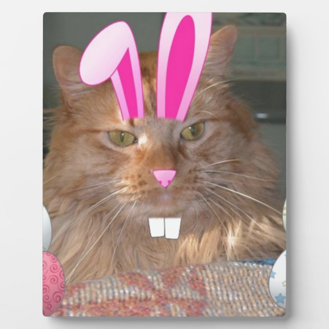 Easter Orange Tabby Kitty Cat Plaque (Front)