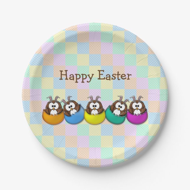 Easter owl - rainbow paper plate (Front)