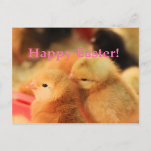 Easter Peeps Holiday Postcard