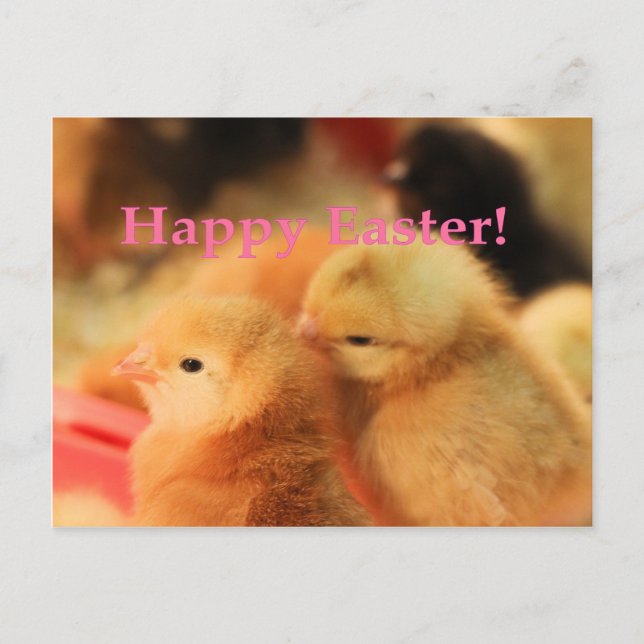 Easter Peeps Holiday Postcard (Front)