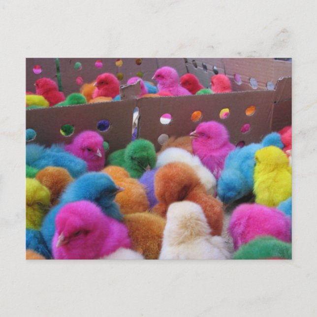 Easter postcard (Front)