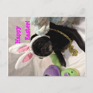 Easter Pug postcard
