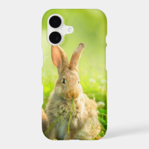 Easter Rabbits
