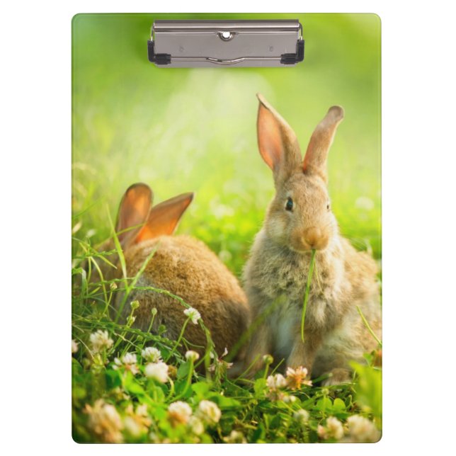 Easter Rabbits Clipboard (Front)