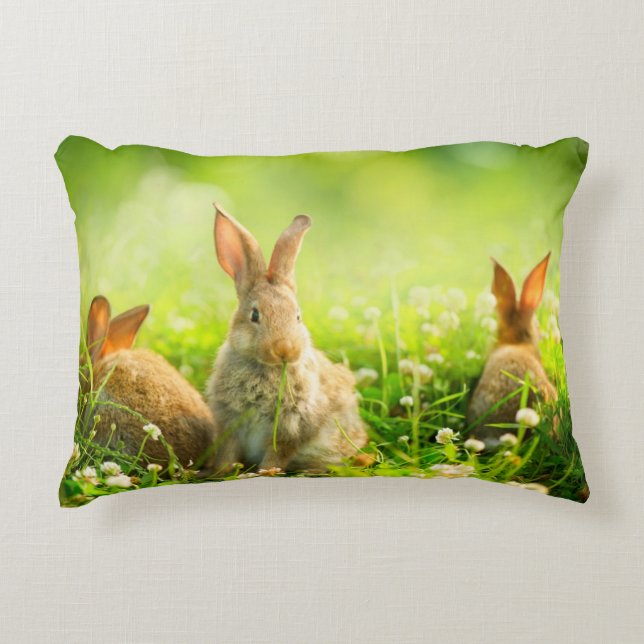Easter Rabbits Decorative Cushion (Front)