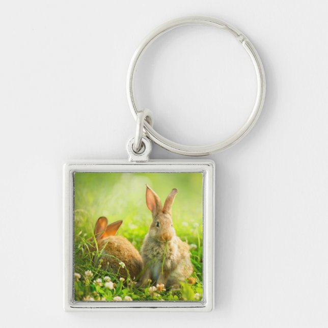 Easter Rabbits Key Ring (Front)