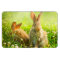 Easter Rabbits