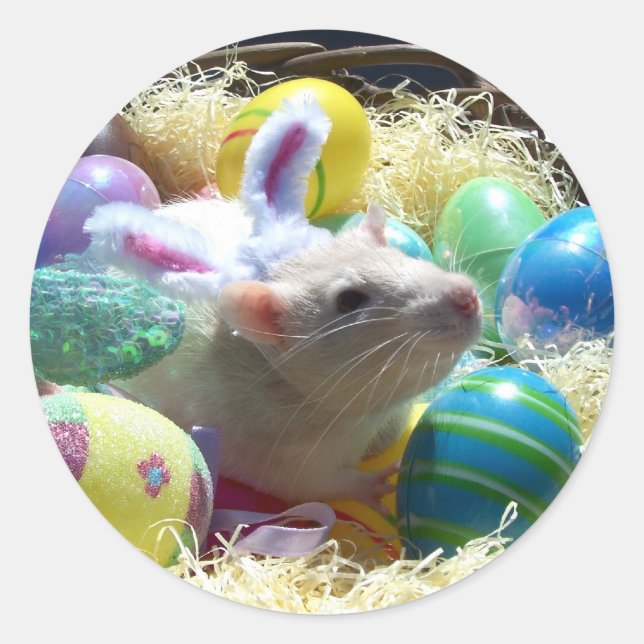 Easter Rat Stickers (Front)