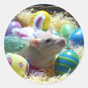 Easter Rat Stickers