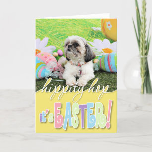 Easter - Shih Tzu - Sophie Holiday Card