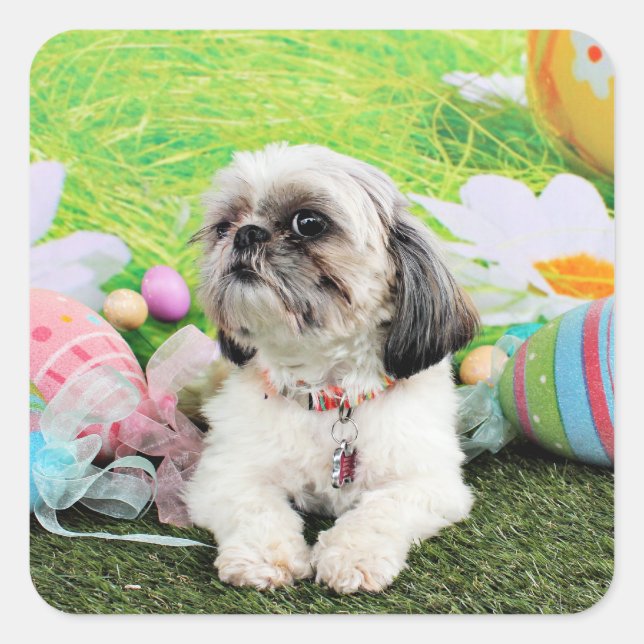 Easter - Shih Tzu - Sophie Square Sticker (Front)