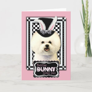 Easter - Some Bunny Loves You - Bichon Frise Holiday Card