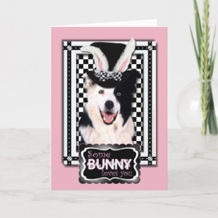 Easter - Some Bunny Loves You - Border Collie Holiday Card
