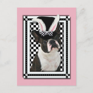 Easter - Some Bunny Loves You - Boston Terrier Holiday Postcard