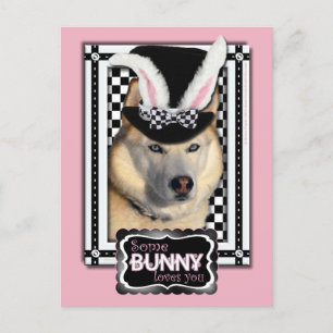 Easter - Some Bunny Loves You - Husky Holiday Postcard