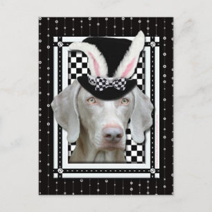 Easter - Some Bunny Loves You - Weimaraner Holiday Postcard