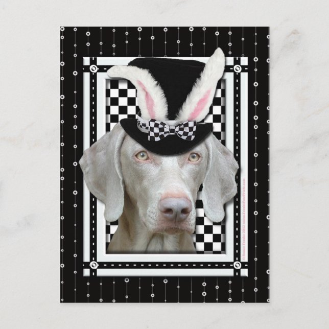 Easter - Some Bunny Loves You - Weimaraner Holiday Postcard (Front)
