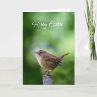 Easter Spring Wren Bird Joy Happiness Wishes Holiday Card