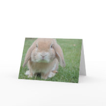 Easter Thank You Card